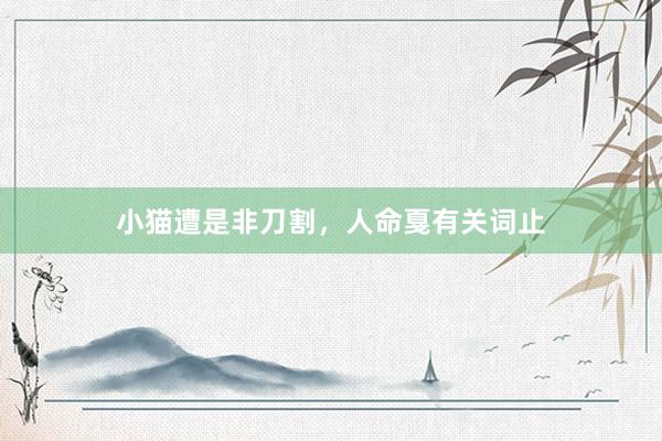 小猫遭是非刀割，人命戛有关词止